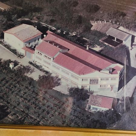 La Nursery De Mas Guillo San Quintín de Mediona Extérieur photo